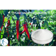 Régulateur d&#39;extrait de plante Pgr Kintin